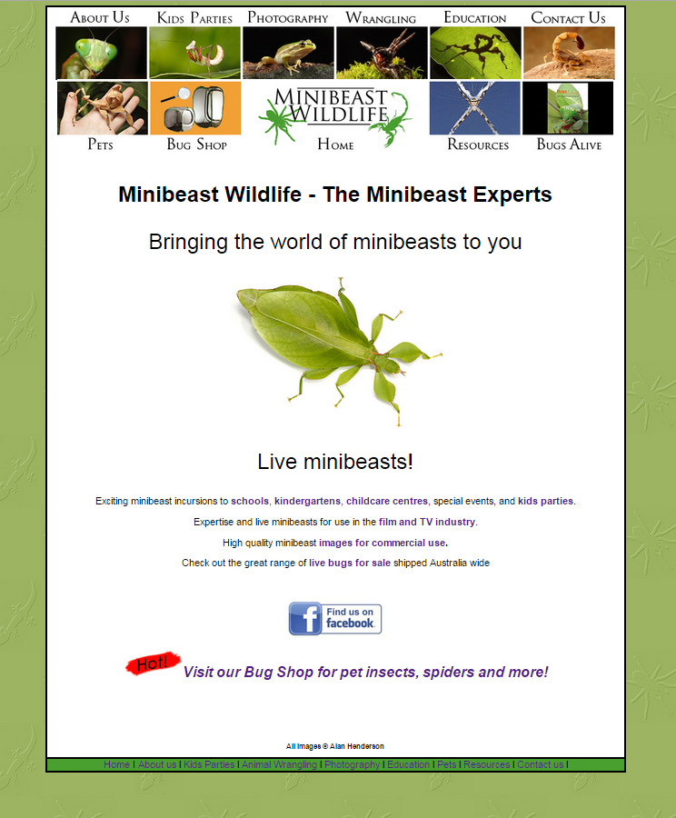 The old Minibeast Wildlife website home page 2008 - 2015.