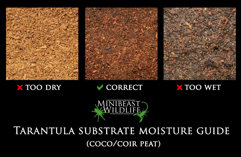 A handy guide to substrate moisture if you're using a pure coir-peat substrate, which is suitable for most purposes.