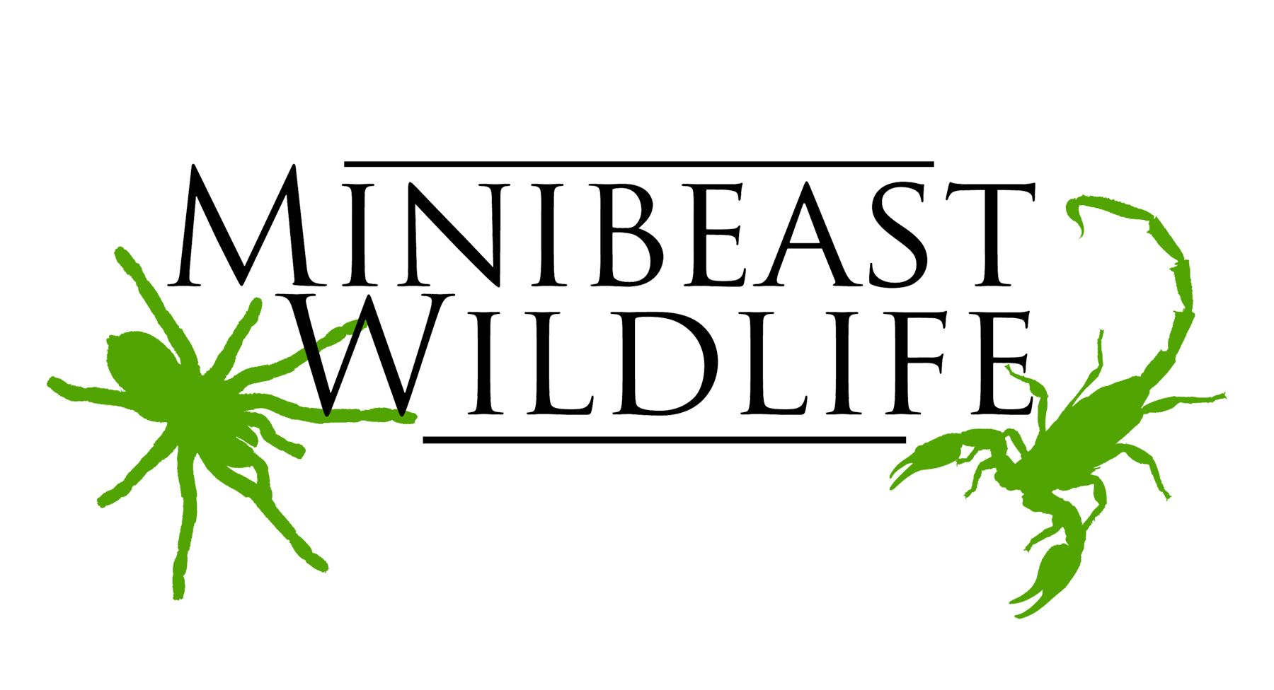 Minibeast Wildlife logo
