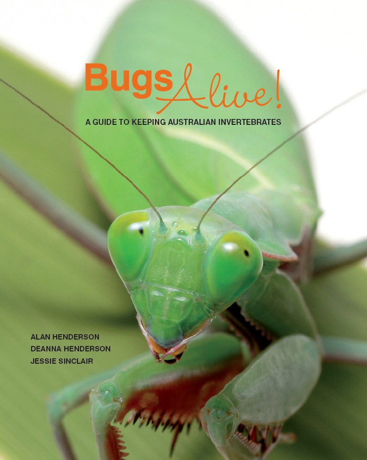 Bugs-alive-book-cover