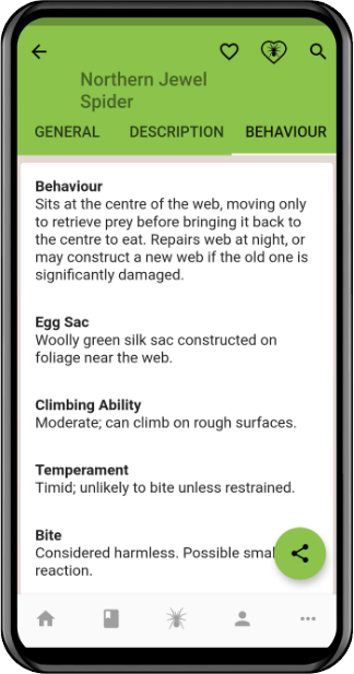 Spidentify provides more specific information about each species than any Australian spider book